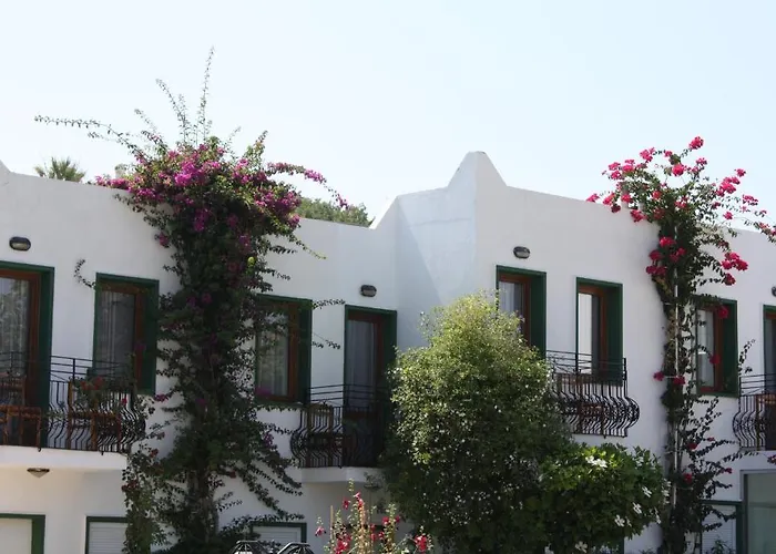 호텔 Bronze Bodrum