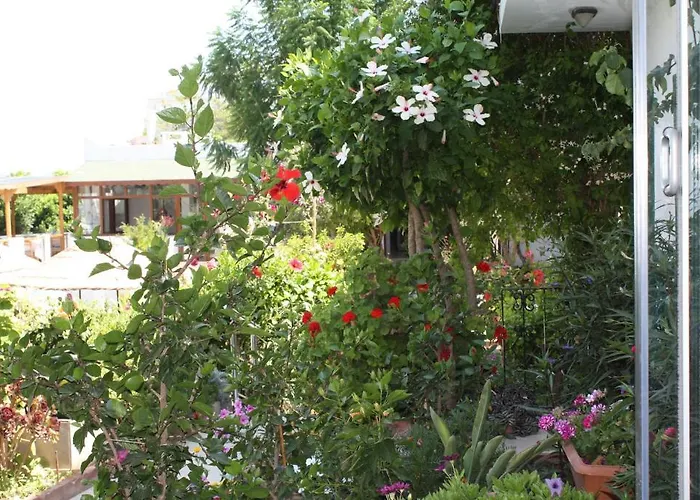 Bronze 호텔 Bodrum