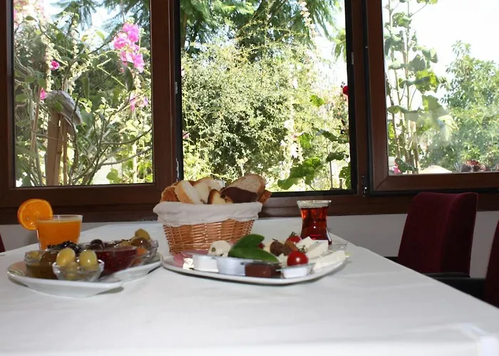 호텔 Bronze Bodrum