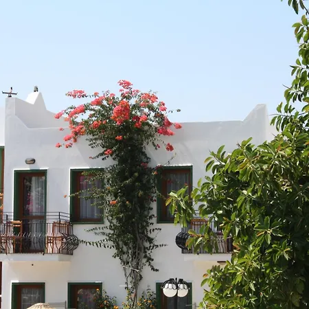 Bronze 3* Bodrum