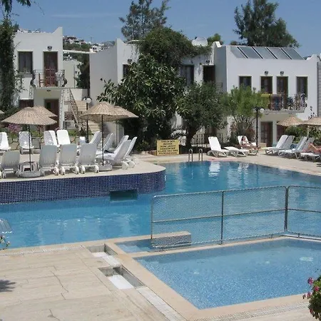 酒店 青铜酒店 3*