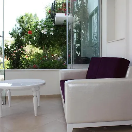 酒店 青铜酒店 3*