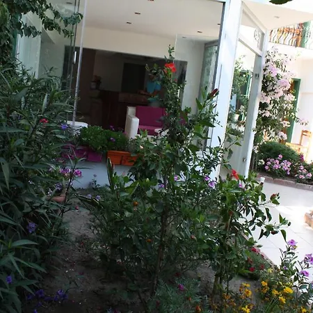Hotel Bronze Gumbet