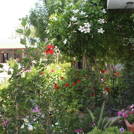 Bronze Hotel Gumbet
