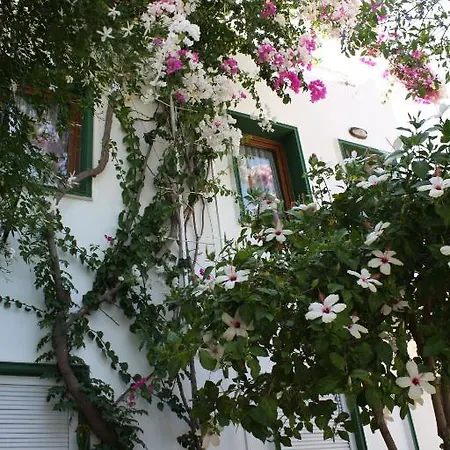 青铜酒店 博德鲁姆