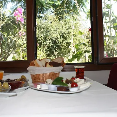 Hotel Bronze Gümbet