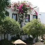 Bronze Hotel 3*