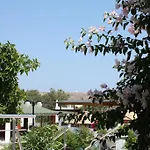 Bronze 3*