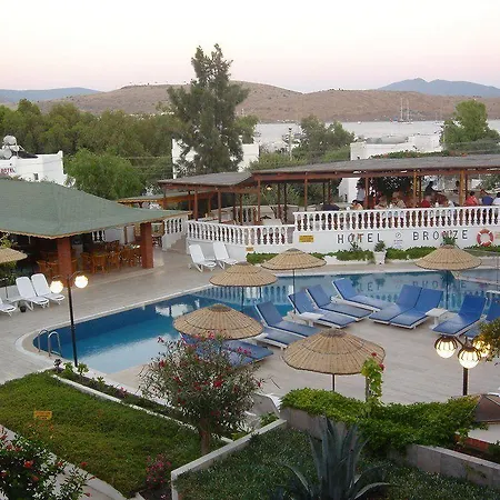Bronze Hotel 3*