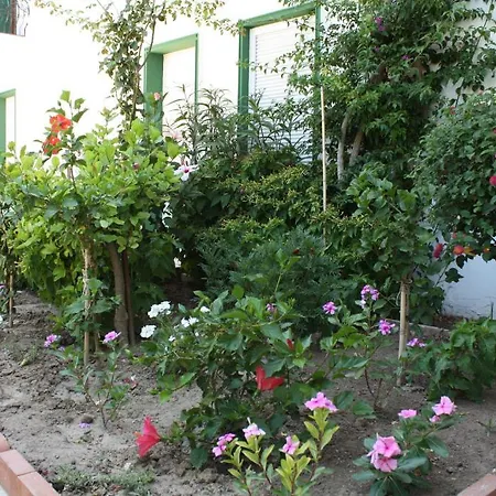 Bronze 3* בודרום