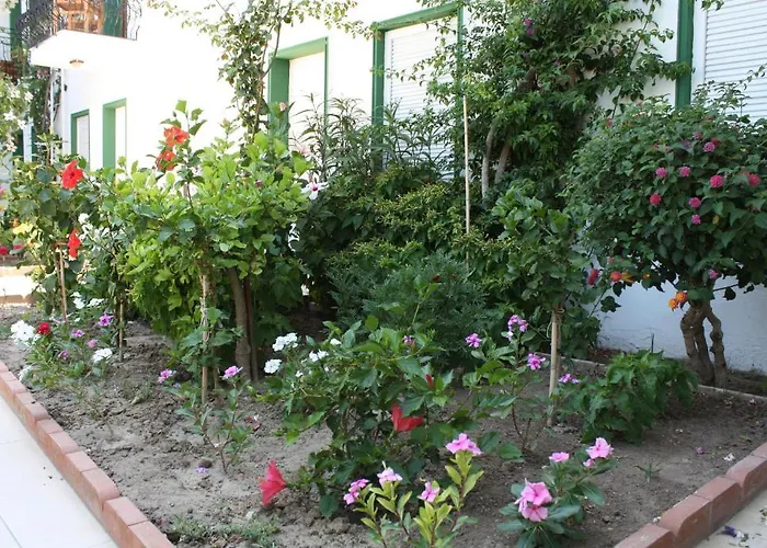 Bronze 3* ボドルム