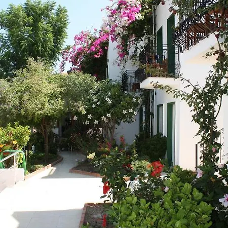 Bronze 3* Bodrum