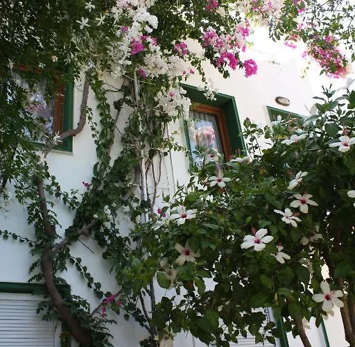 Bronze Αλικαρνασσός